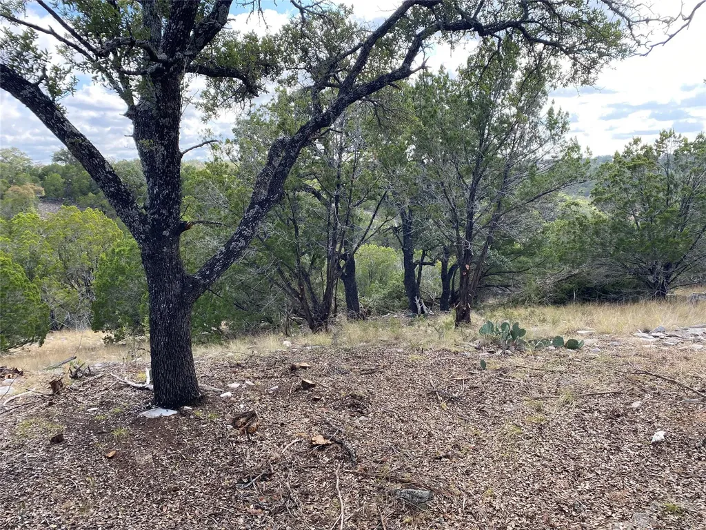 Lot 85, Seven Springs R. Spring Crossing Junction TX 76849