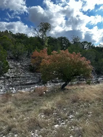 Lot 85, Seven Springs R. Spring Crossing Junction TX 76849