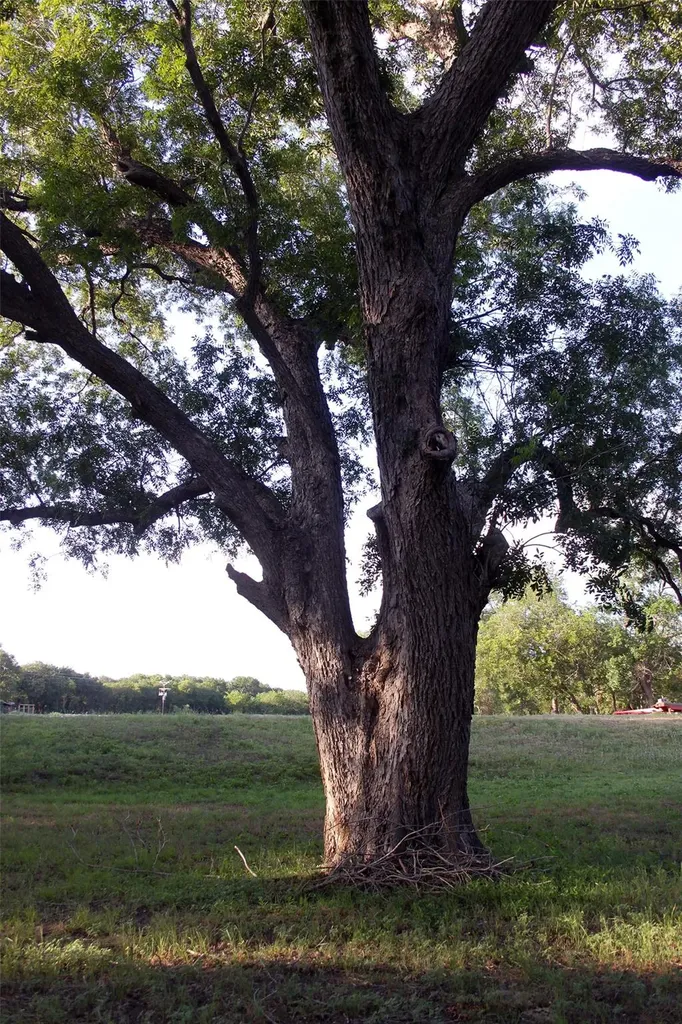 900 Old Lytton Springs Road Lockhart TX 78644