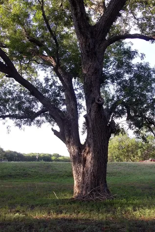 900 Old Lytton Springs Road Lockhart TX 78644