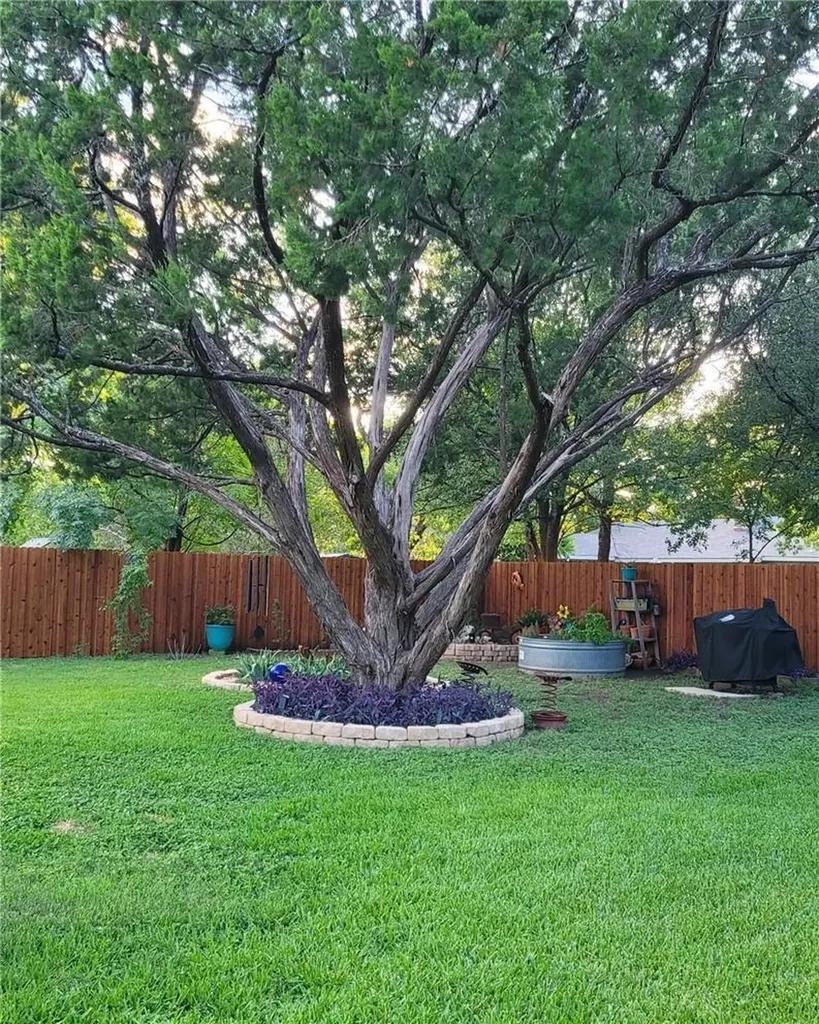503 E Central Drive Georgetown TX 78628