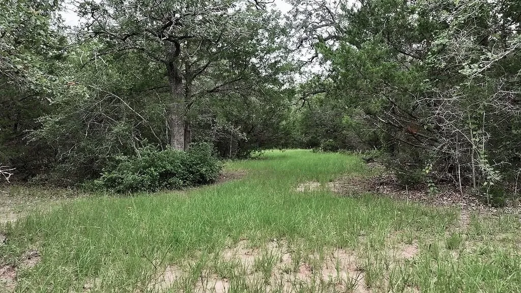 2625 Burke Road Flatonia TX 78941