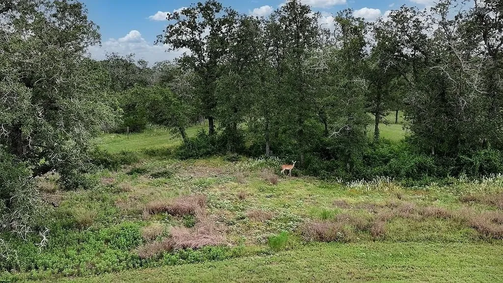2625 Burke Road Flatonia TX 78941