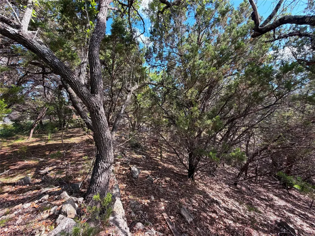 2021 Ronda Court Canyon Lake TX 78133