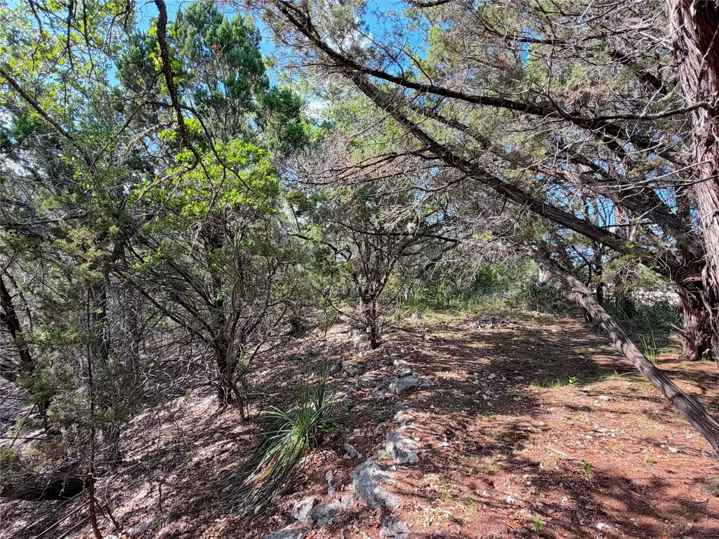 2021 Ronda Court Canyon Lake TX 78133