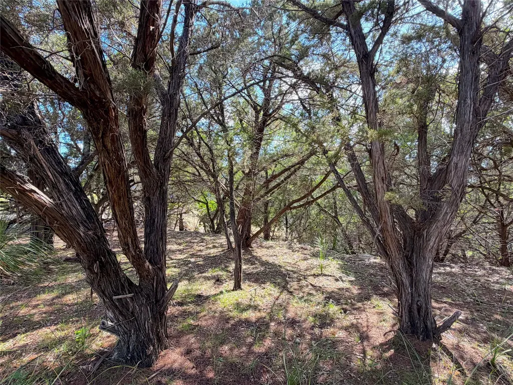 2021 Ronda Court Canyon Lake TX 78133