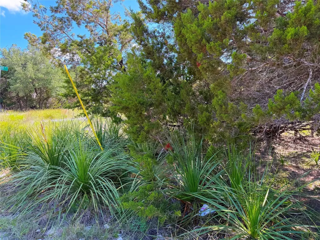 2021 Ronda Court Canyon Lake TX 78133