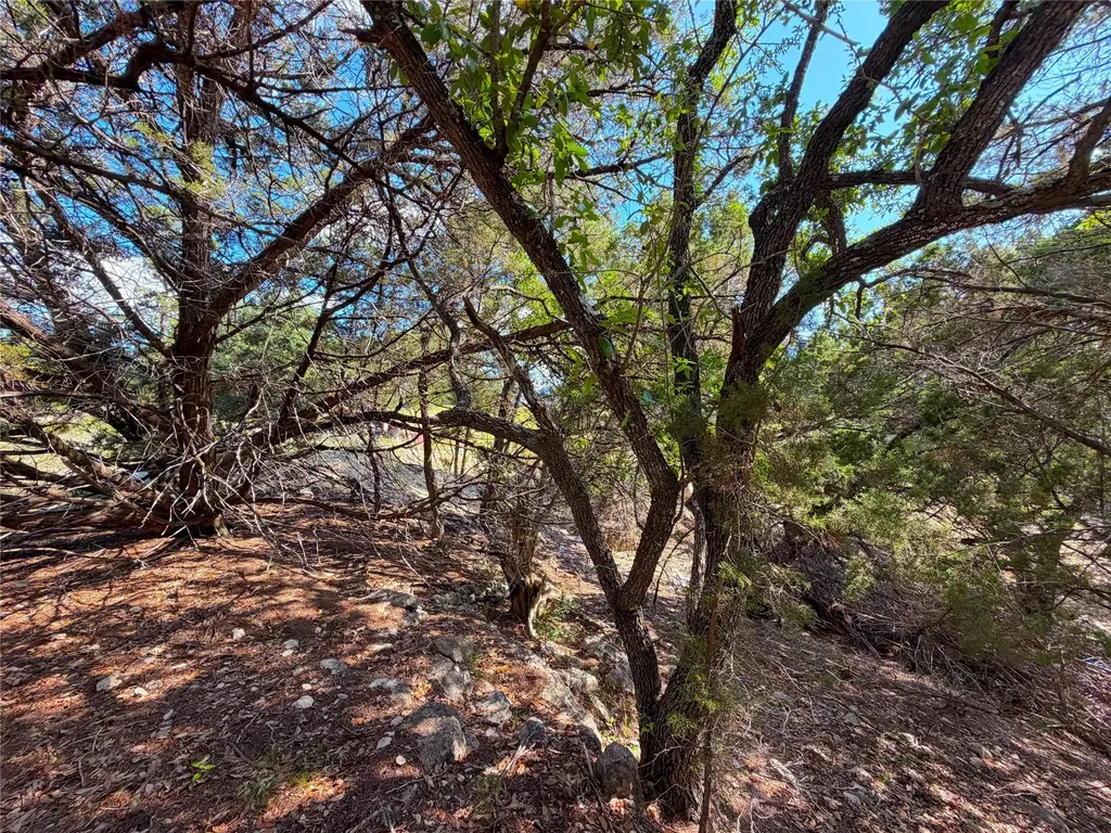 2021 Ronda Court Canyon Lake TX 78133