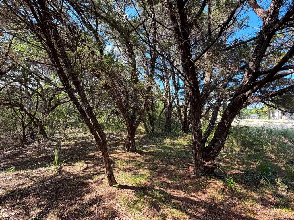 2021 Ronda Court Canyon Lake TX 78133