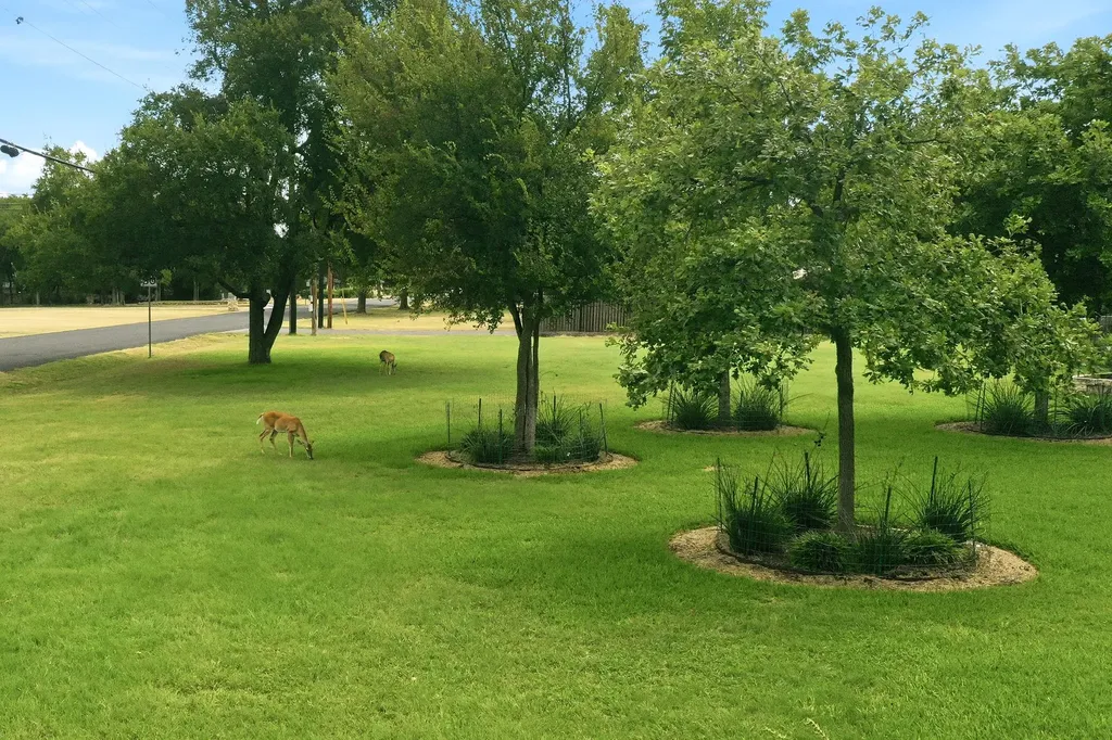 126 E Esparada Drive Georgetown TX 78628