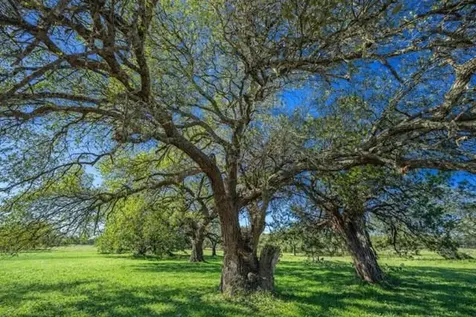 4772-2 County Road 340 Burnet TX 76905