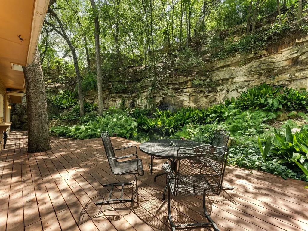 2205 Scenic Drive Austin TX 78703