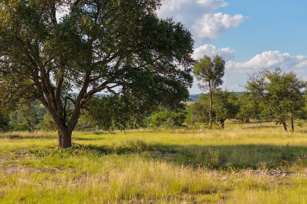 Lot 11 Maddalena Lane Dripping Springs TX 78620