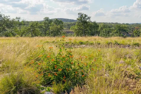 Lot 11 Maddalena Lane Dripping Springs TX 78620