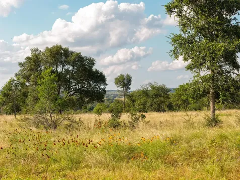 Lot 11 Maddalena Lane Dripping Springs TX 78620