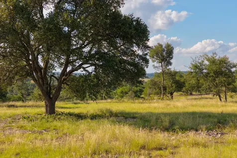 Lot 11 Maddalena Lane Dripping Springs TX 78620