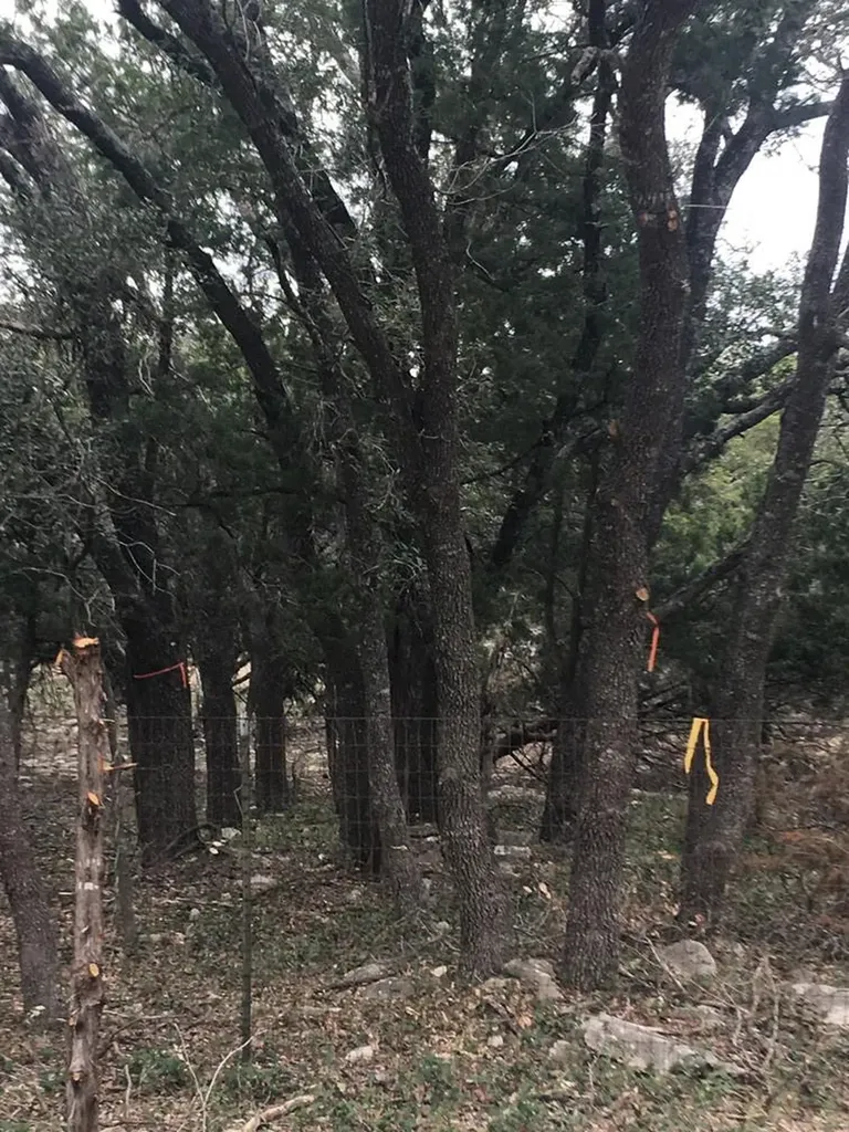 101 Timber Line Road Georgetown TX 78633
