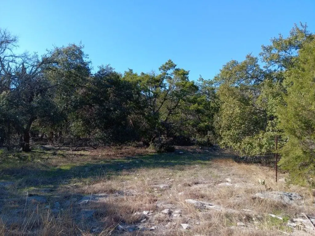 101 Timber Line Road Georgetown TX 78633