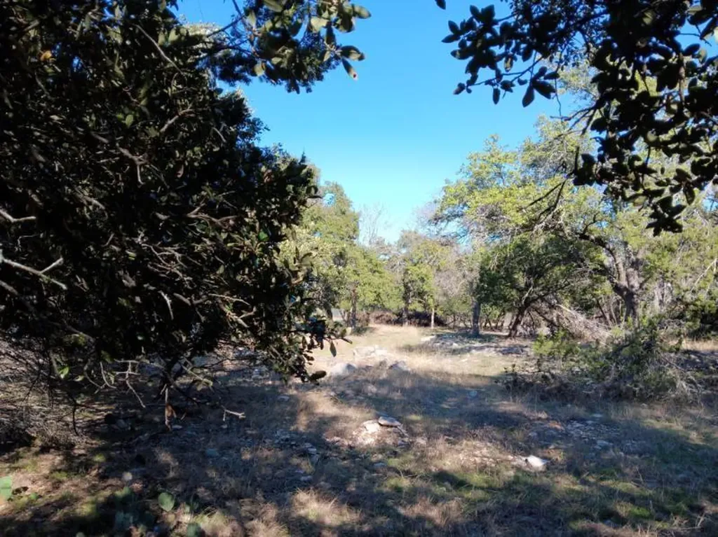 101 Timber Line Road Georgetown TX 78633