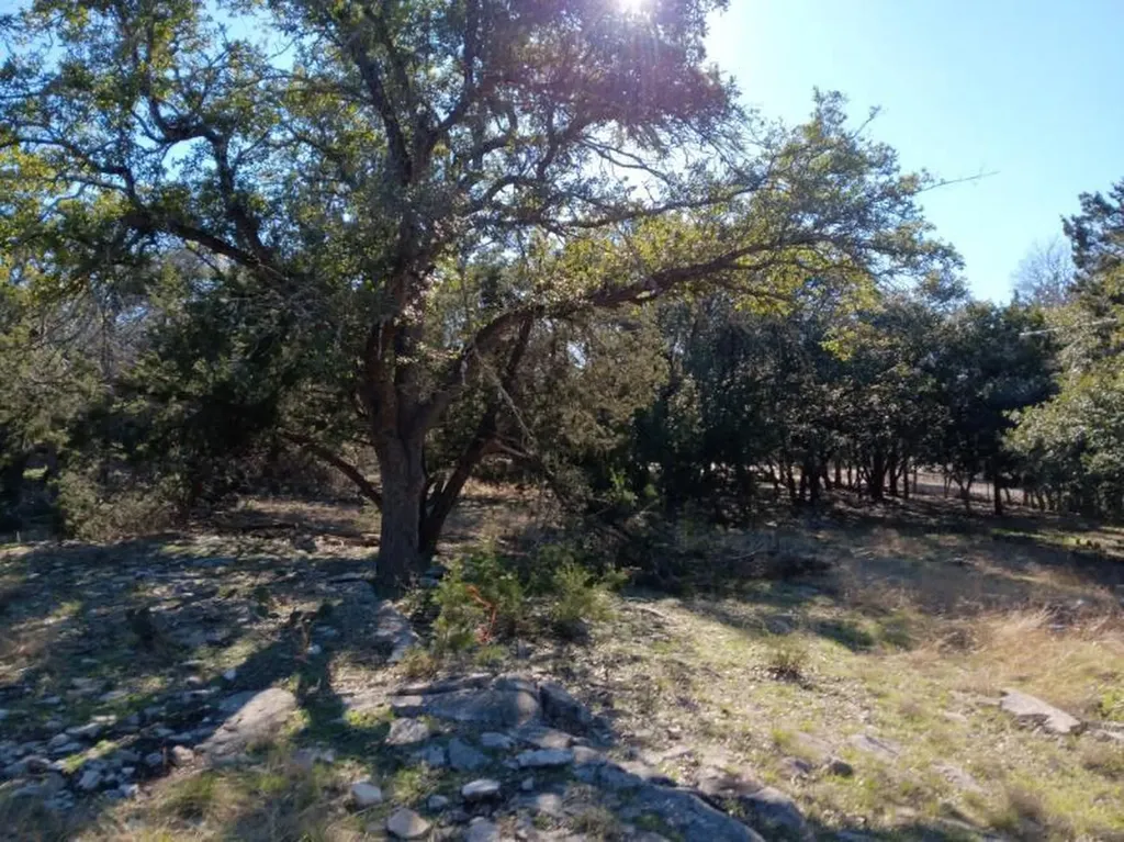 101 Timber Line Road Georgetown TX 78633