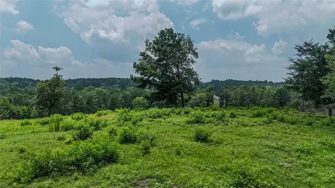 3117-3197 Fm-980 Point Blank TX 77364