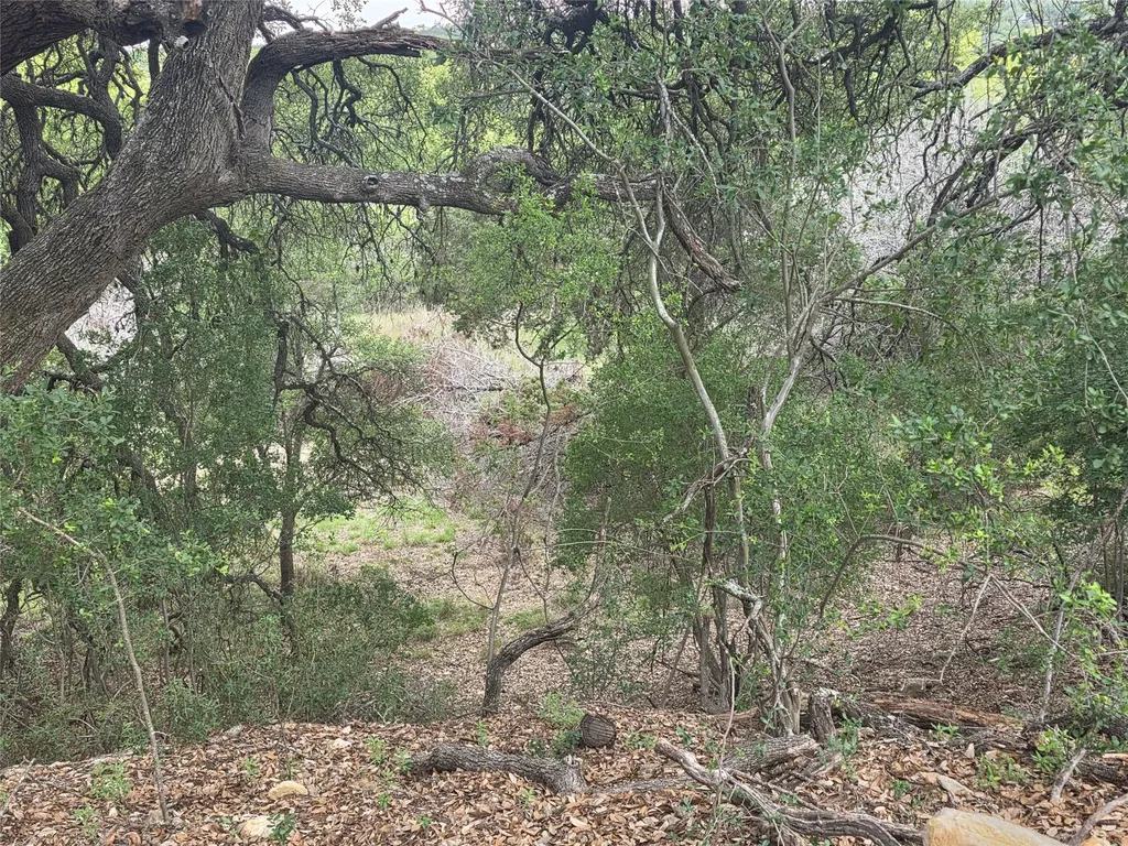 Tbd Sycamore Creek Drive Dripping Springs TX 78620