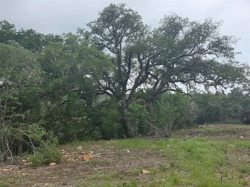 Tbd Sycamore Creek Drive Dripping Springs TX 78620