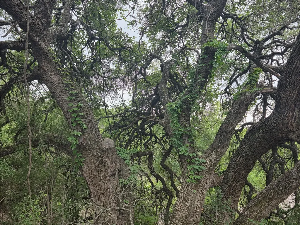 Tbd Sycamore Creek Drive Dripping Springs TX 78620