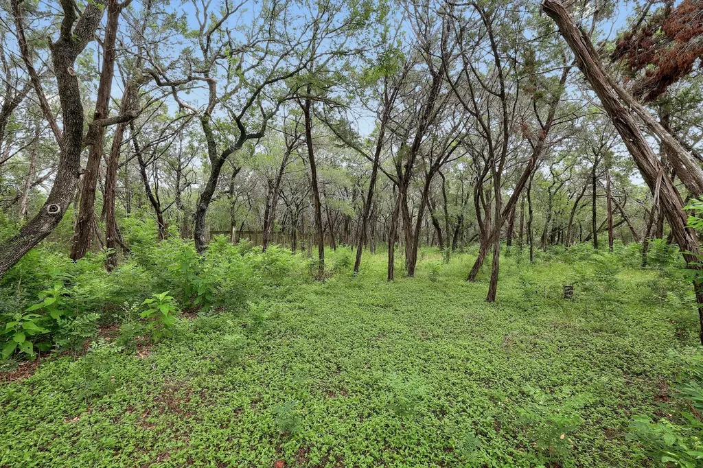 12403 Shady Acres Drive Buda TX 78610