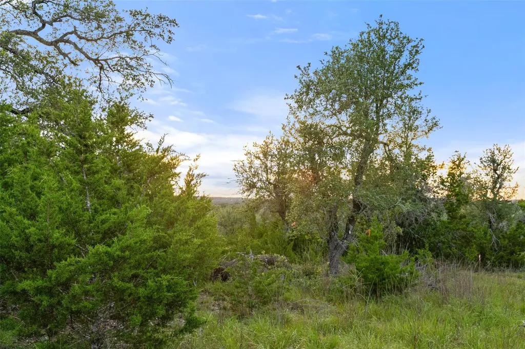 32000 Mirela Ann Road Dripping Springs TX 78620