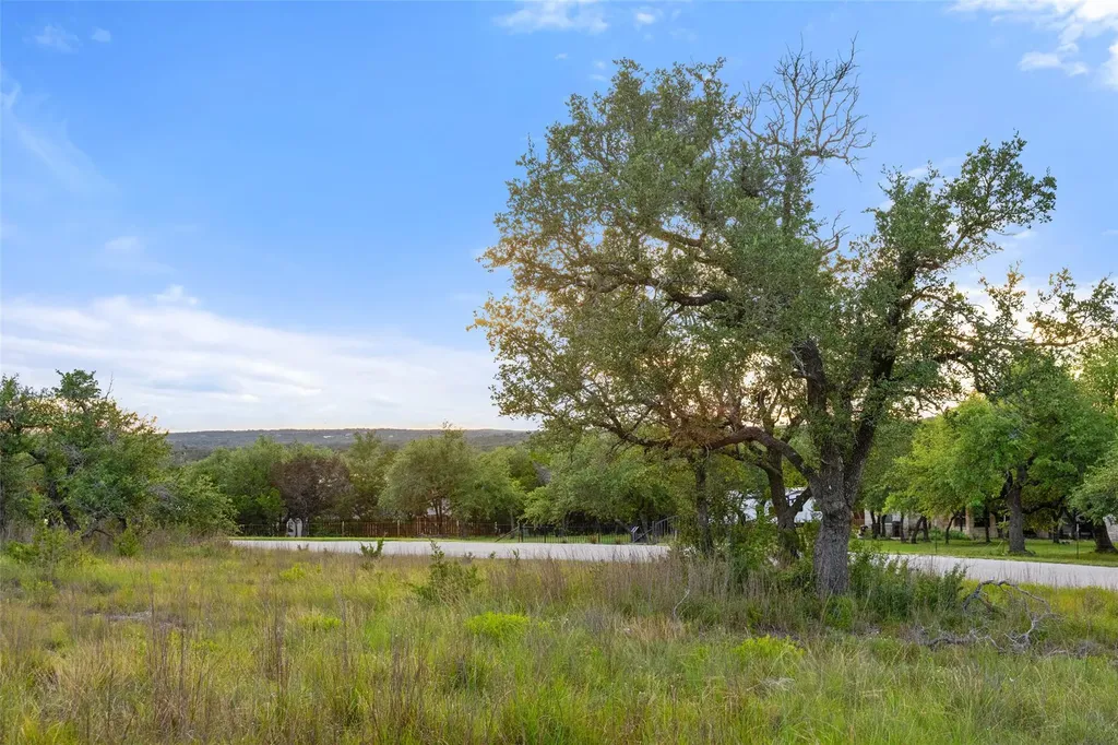 32000 Mirela Ann Road Dripping Springs TX 78620