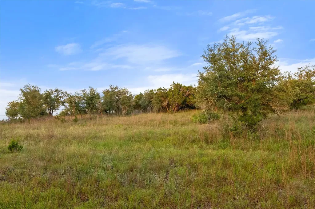32000 Mirela Ann Road Dripping Springs TX 78620