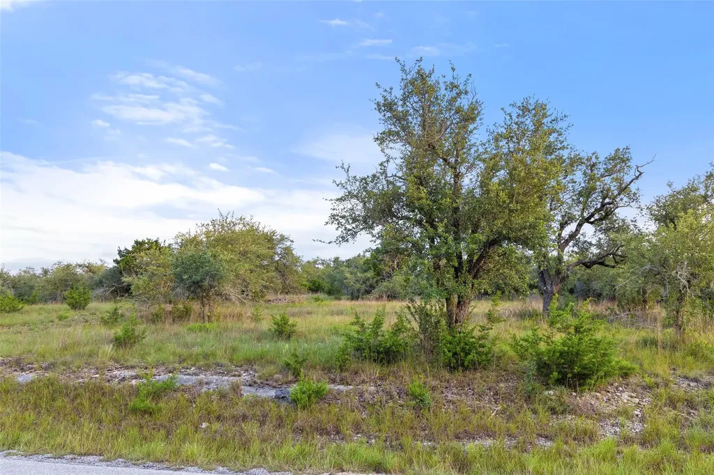 32000 Mirela Ann Road Dripping Springs TX 78620