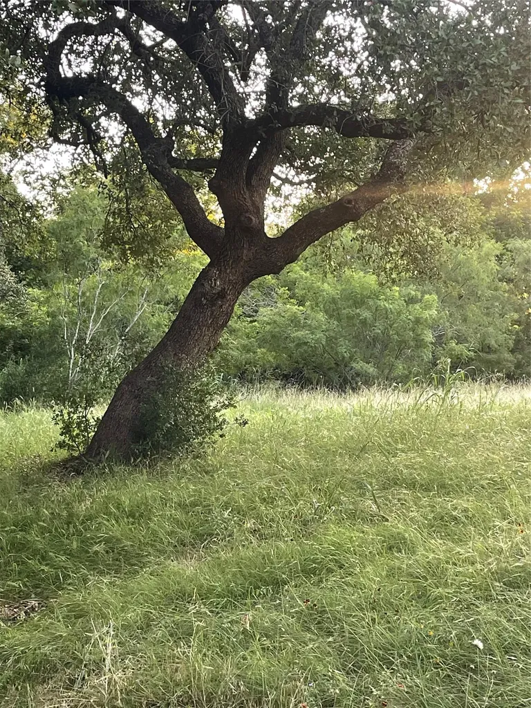 Lot 15 Orange Plume Horseshoe Bay TX 78657