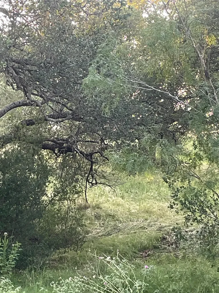 Lot 15 Orange Plume Horseshoe Bay TX 78657