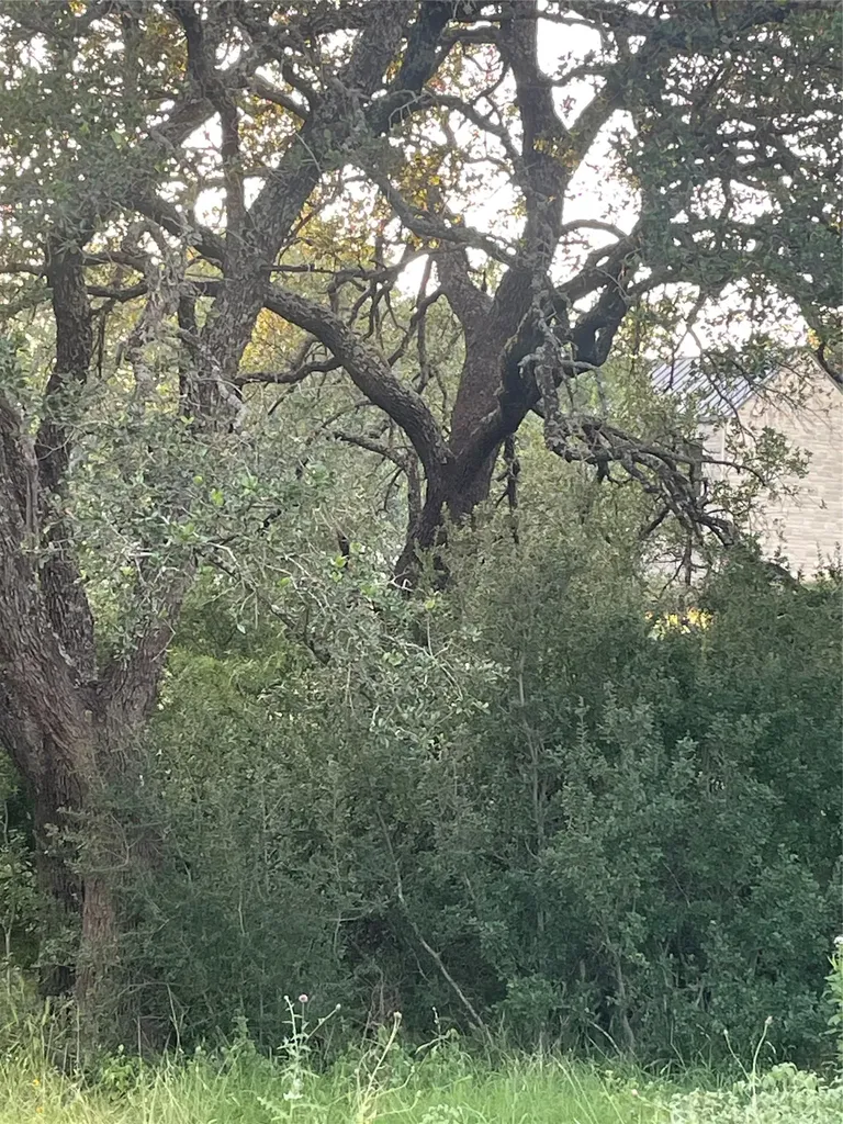 Lot 15 Orange Plume Horseshoe Bay TX 78657