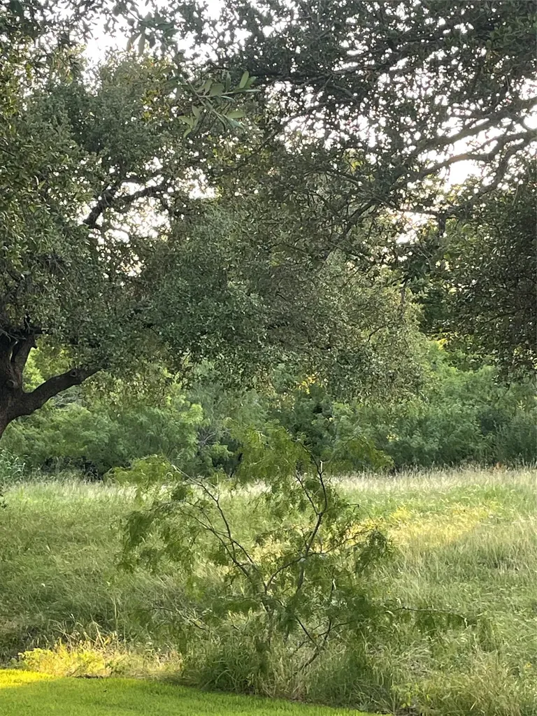 Lot 15 Orange Plume Horseshoe Bay TX 78657