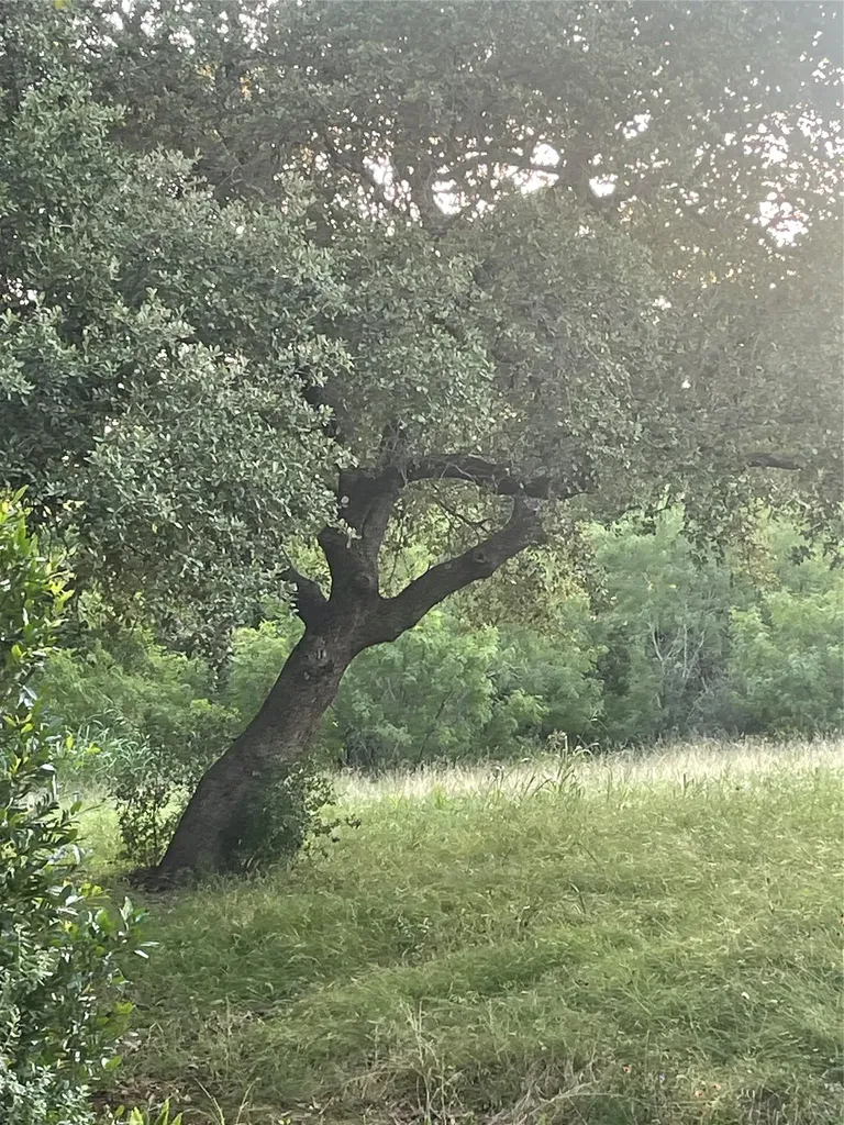 Lot 15 Orange Plume Horseshoe Bay TX 78657