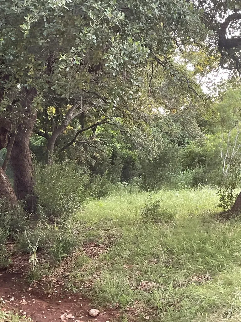 Lot 15 Orange Plume Horseshoe Bay TX 78657