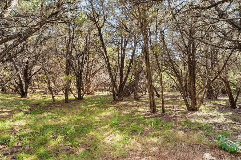 17042 Trail Of The Woods Austin TX 78734
