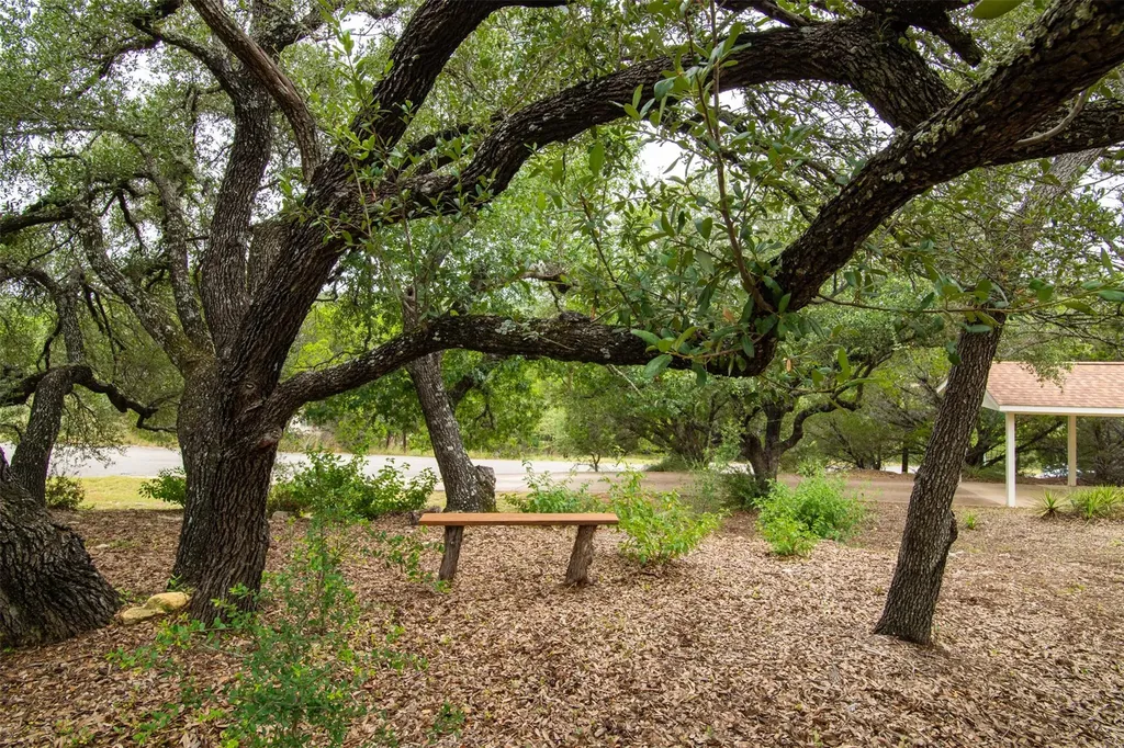 21900 Moulin Drive Spicewood TX 78669