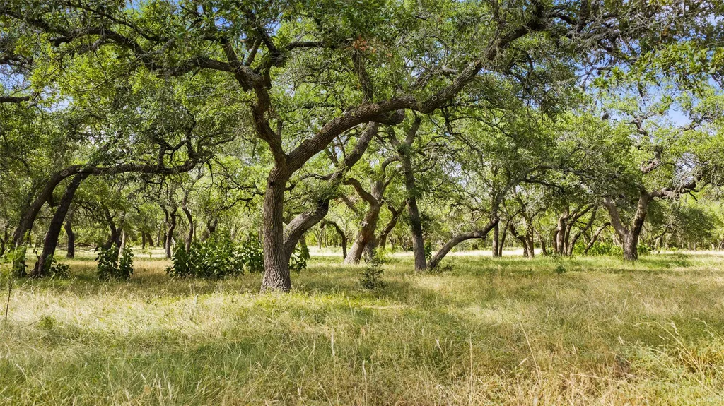 3310 Ranch Road 165 Blanco TX 78606