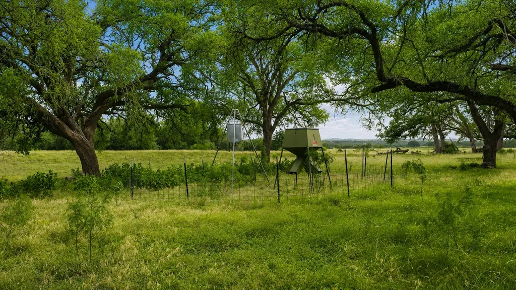 3310 Ranch Road 165 Blanco TX 78606