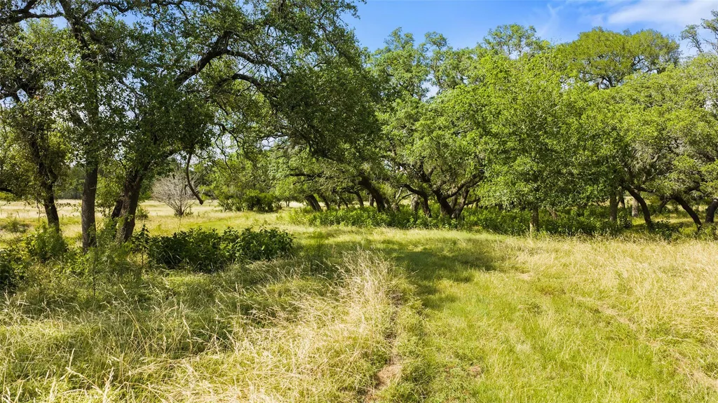 3310 Ranch Road 165 Blanco TX 78606
