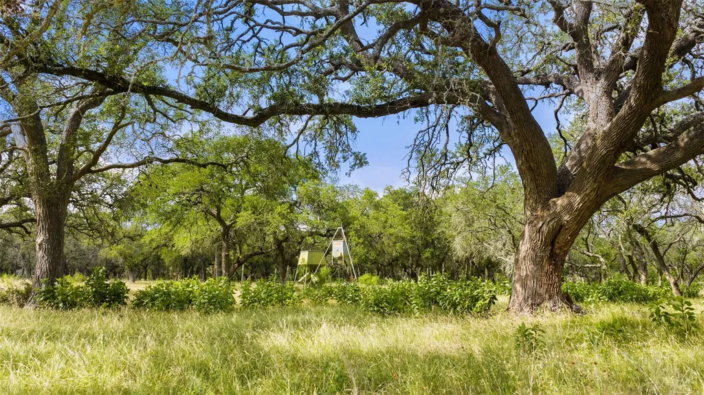 3310 Ranch Road 165 Blanco TX 78606