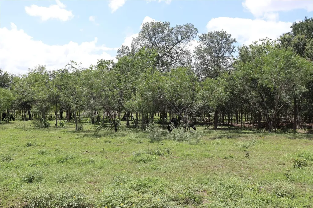 1220 Brushy Branch Road Lockhart TX 78644
