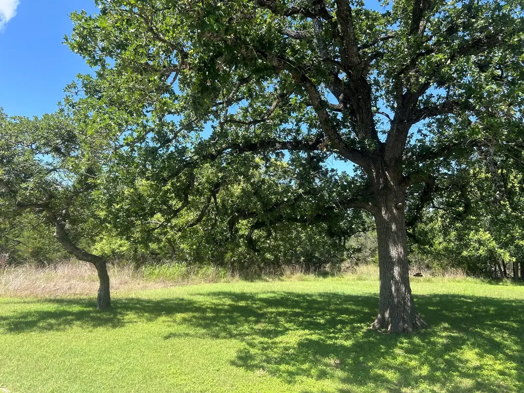 206 Wind Ridge Cove Georgetown TX 78628
