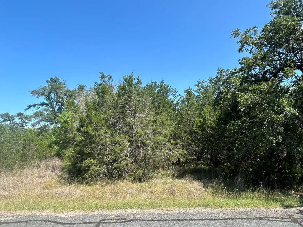 206 Wind Ridge Cove Georgetown TX 78628