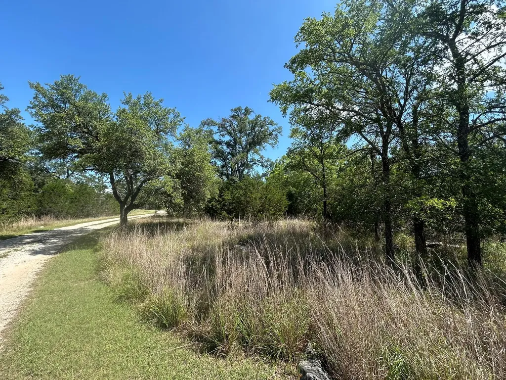 206 Wind Ridge Cove Georgetown TX 78628