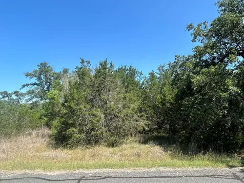 206 Wind Ridge Cove Georgetown TX 78628